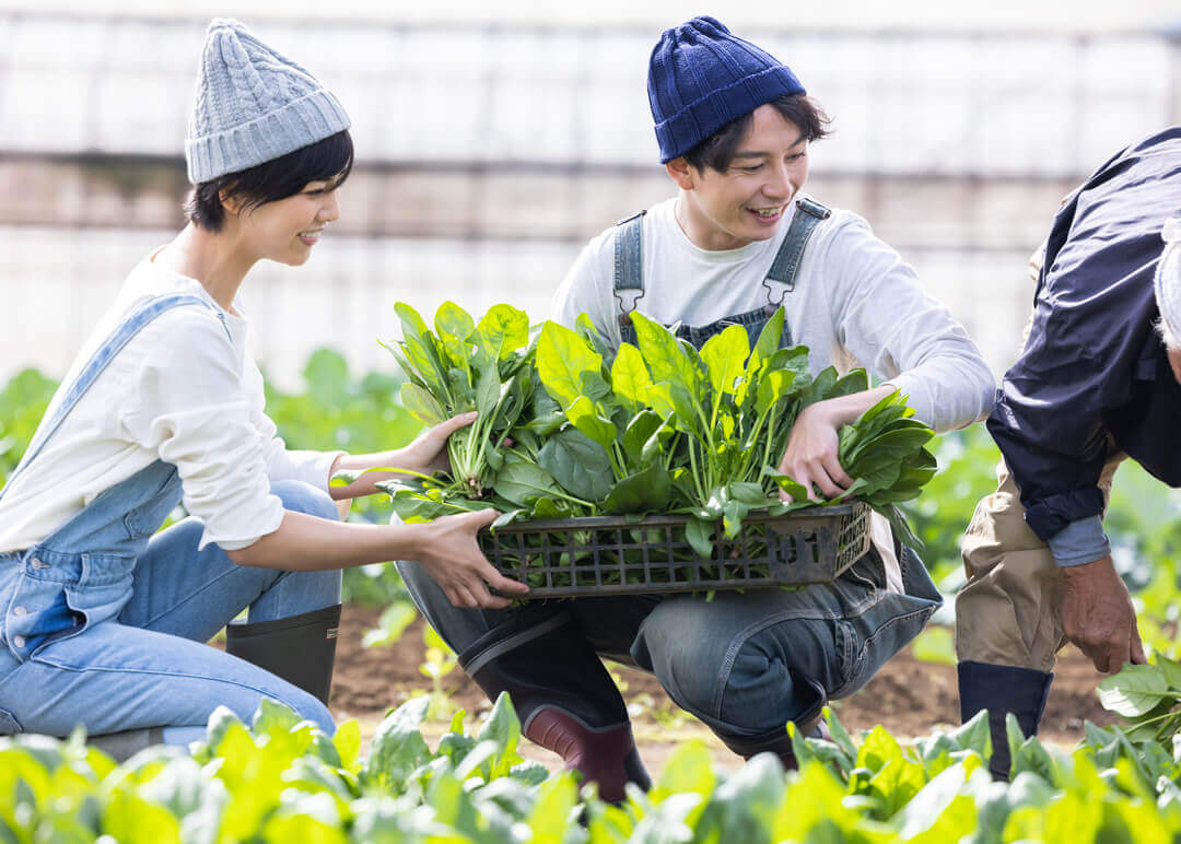 農業で軽トラの荷台カスタムを活用