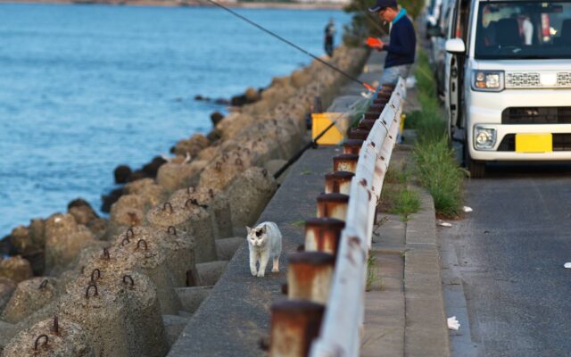 軽トラを釣りに最適な仕様にするには？カスタマイズや気を付けたい盗難対策について