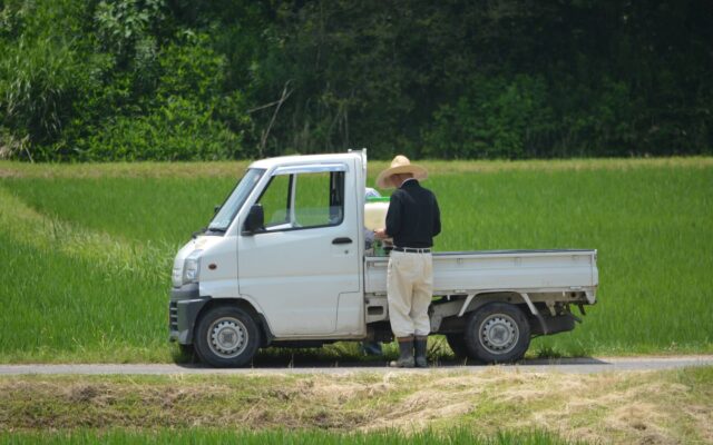 軽トラの荷台に人が乗るのは違法？乗車条件や知っておきたい道路交通法について