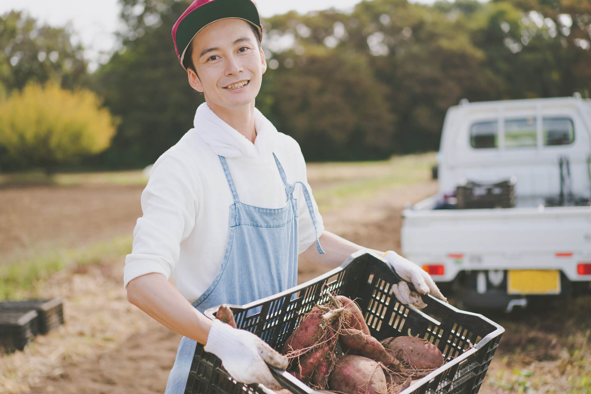 新車VS中古！農業用軽トラの賢い選び方